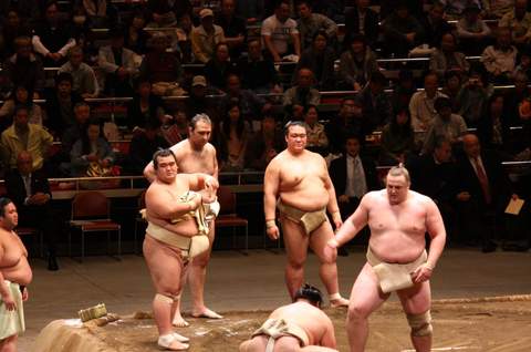 Yokozuna Tonkatsu Dosukoi Tanaka