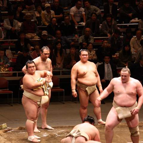 Yokozuna Tonkatsu Dosukoi Tanaka