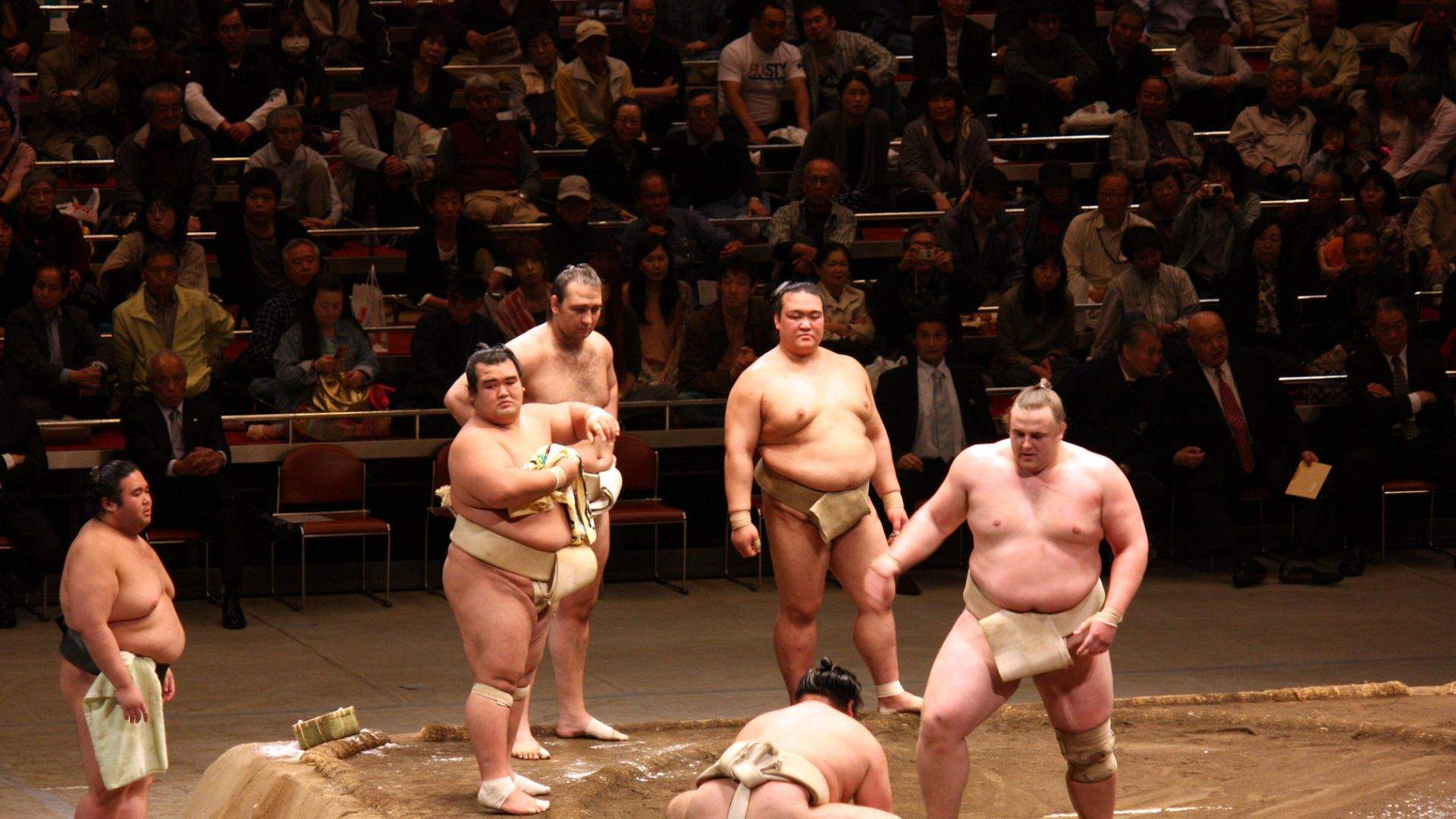 Yokozuna Tonkatsu Dosukoi Tanaka