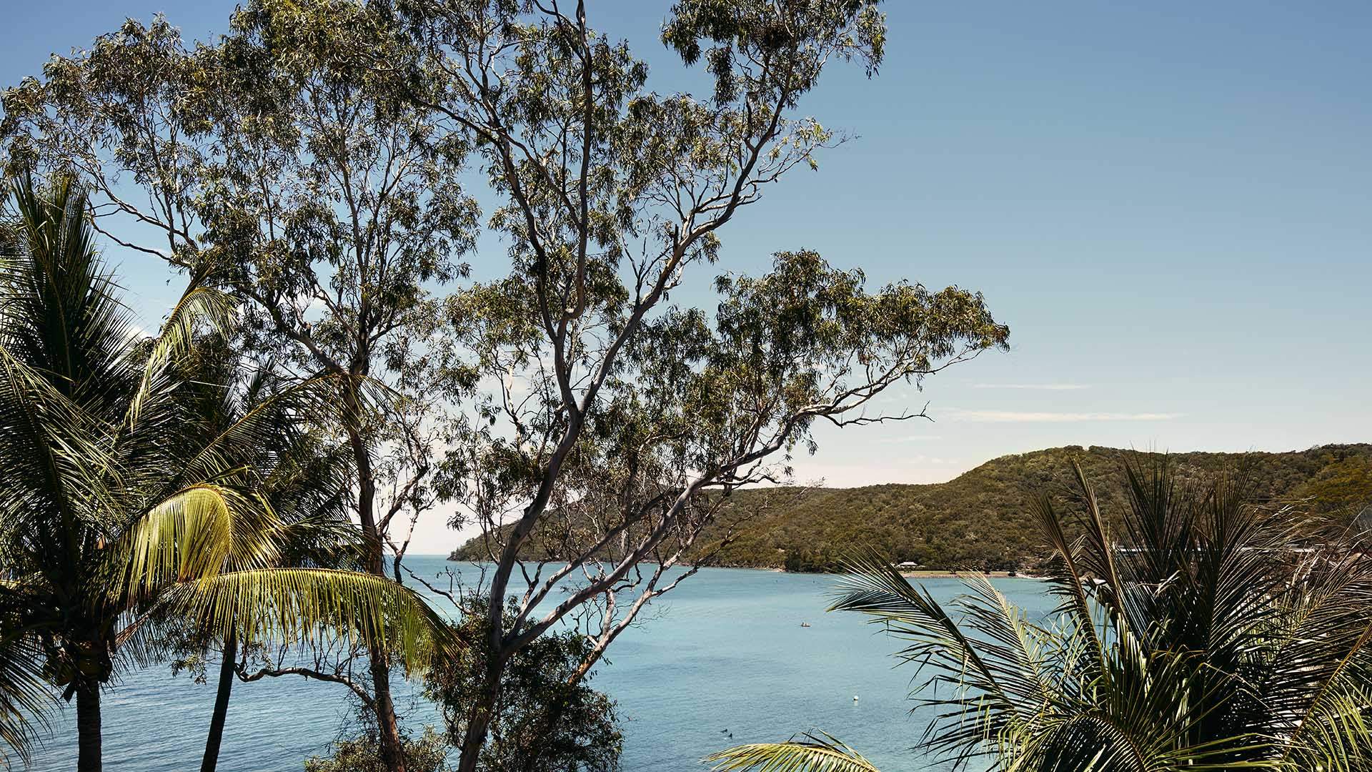 Coming Soon: Josh and Julie Niland Are Opening Their First Queensland Restaurant on Hamilton Island