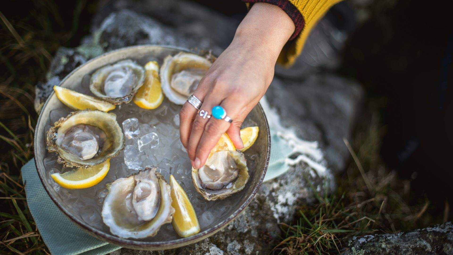 Bluff Oyster and Food Festival