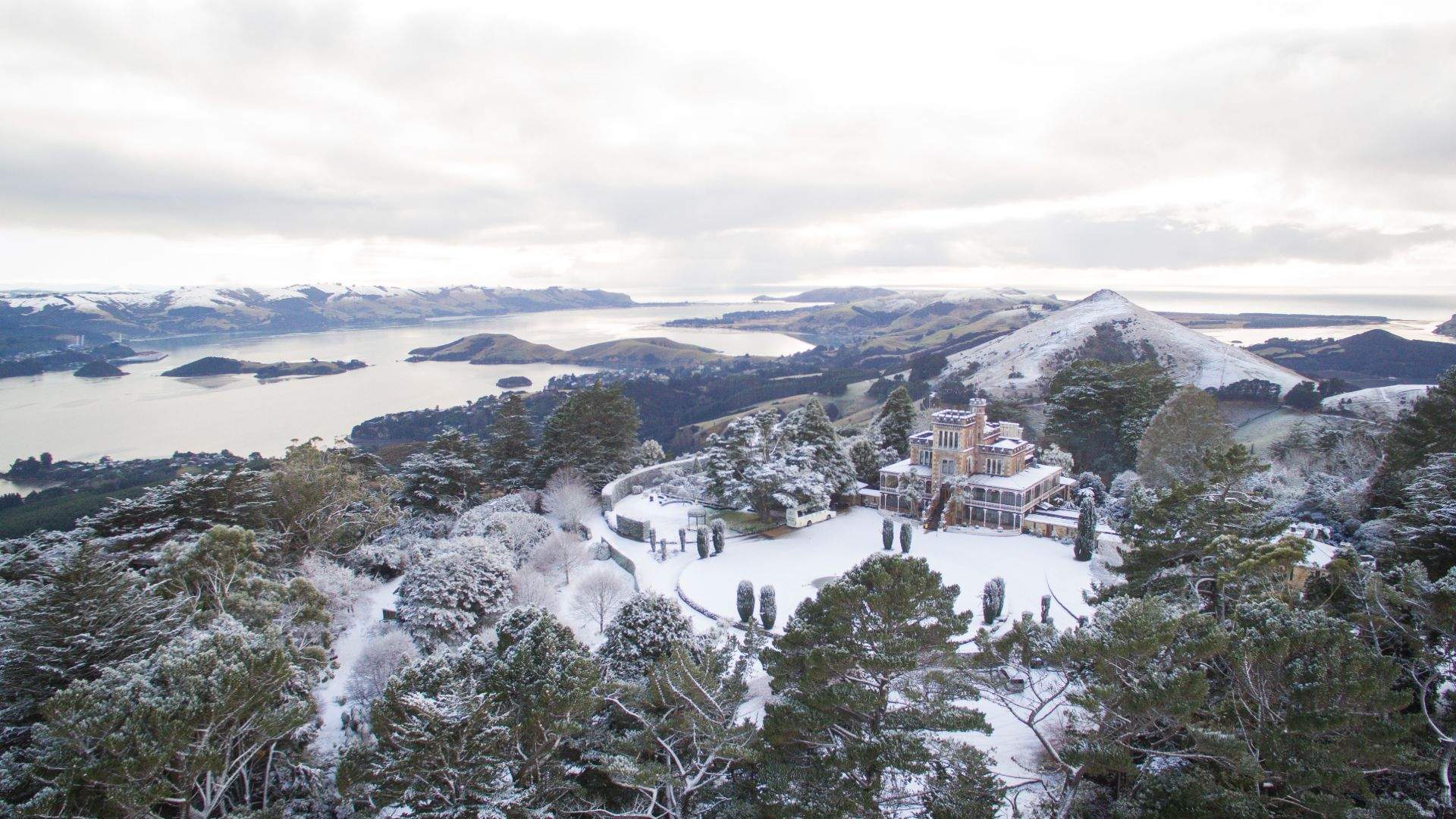 Ballroom Cafe at Larnach Castle