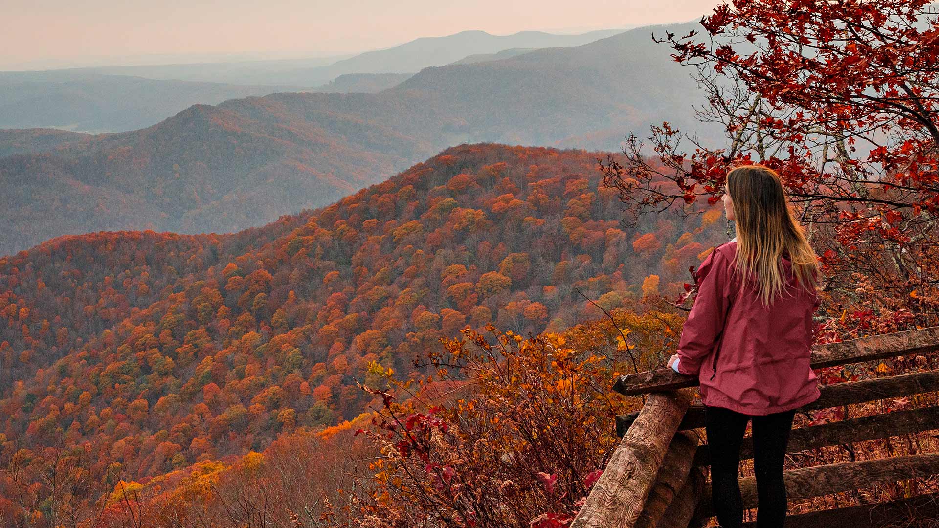 Bayous, Bluffs and Beyond: The South's Most Breathtaking Outdoor Experiences