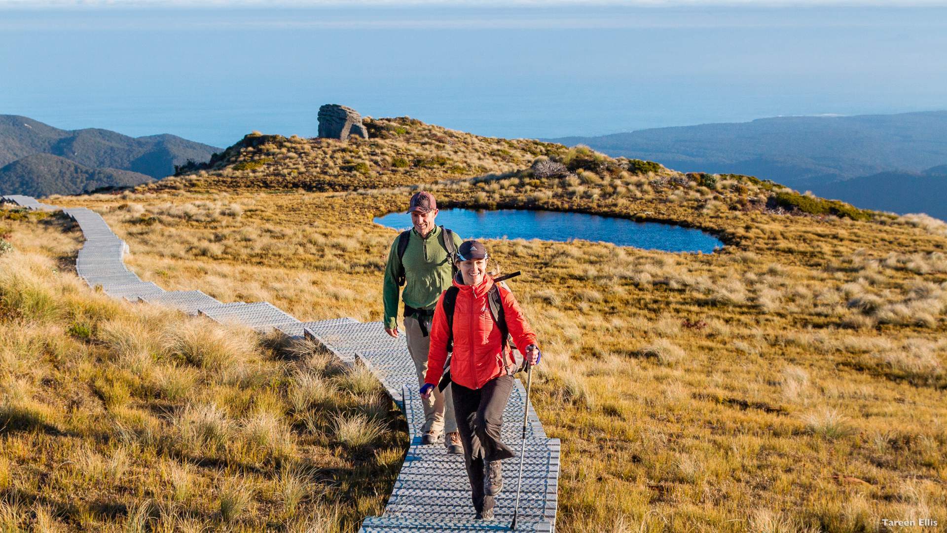 Tuatapere Hump Ridge Track