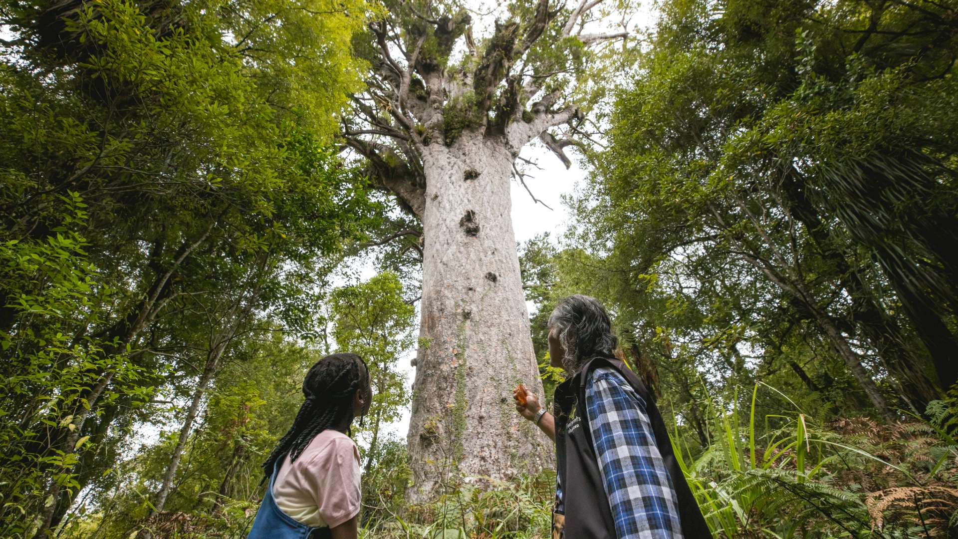 Twin Coast Discovery Tour