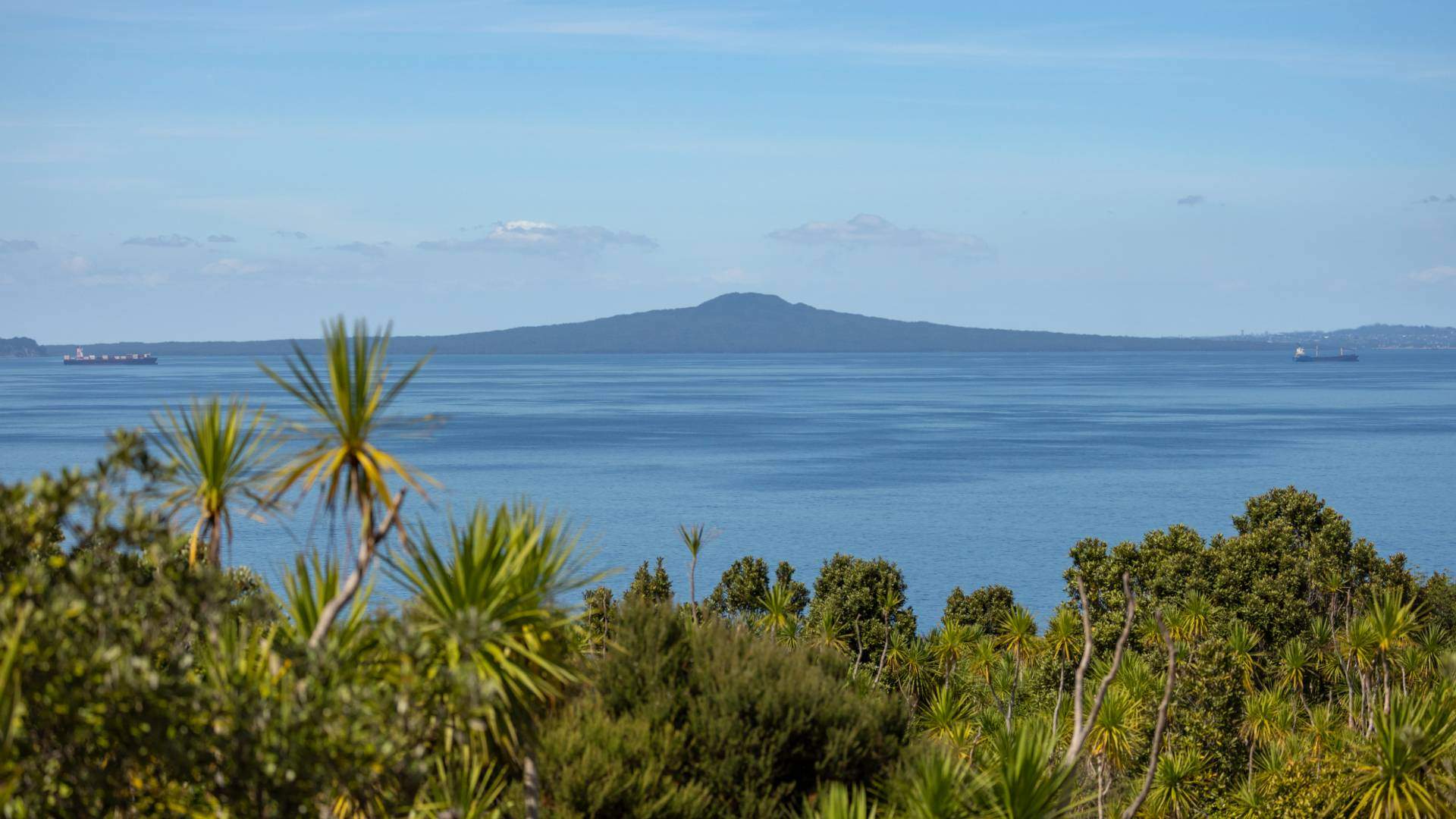 Explore the Hauraki Gulf and Rangitoto Island