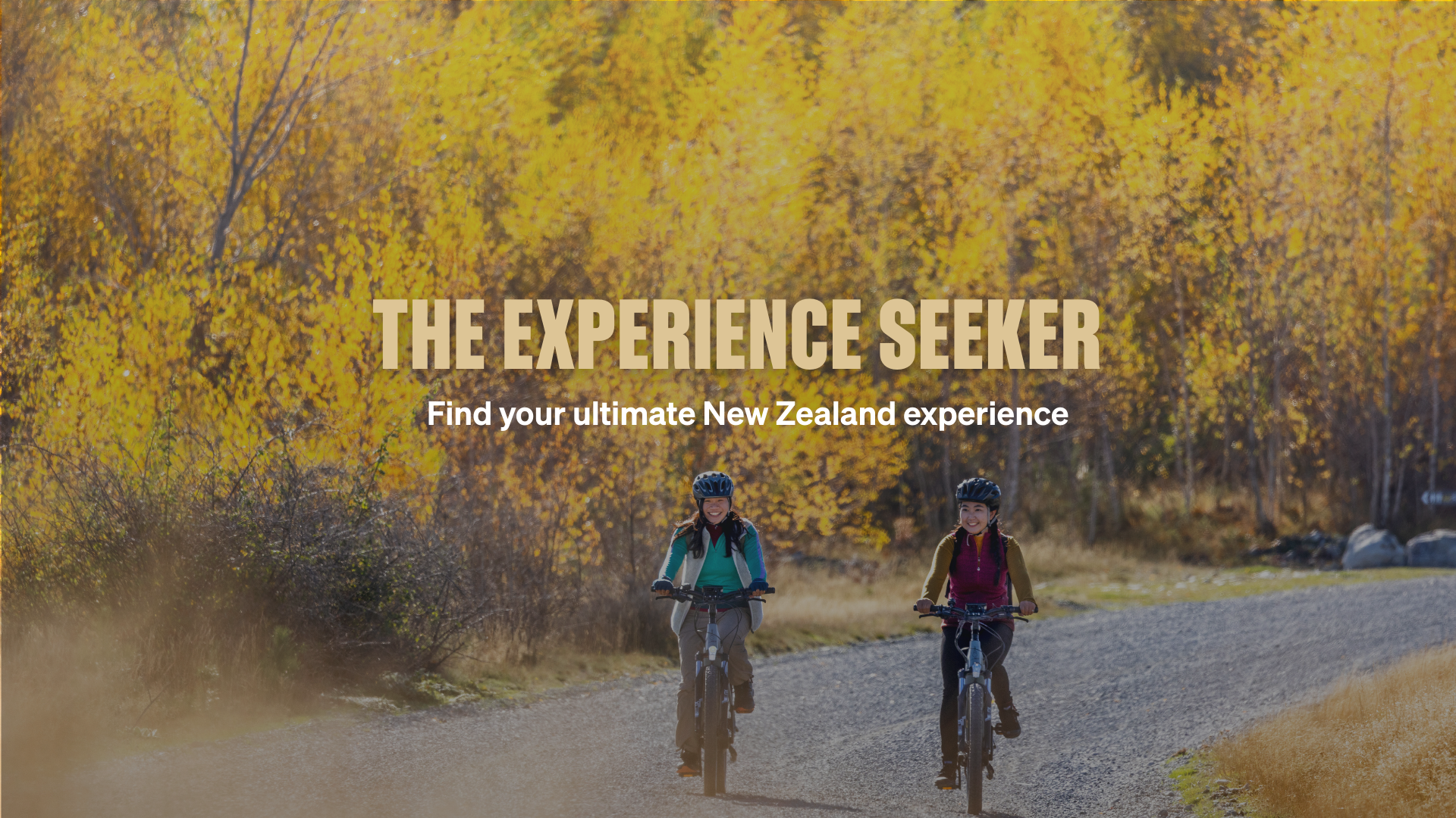 Find Your Ultimate NZ Experience