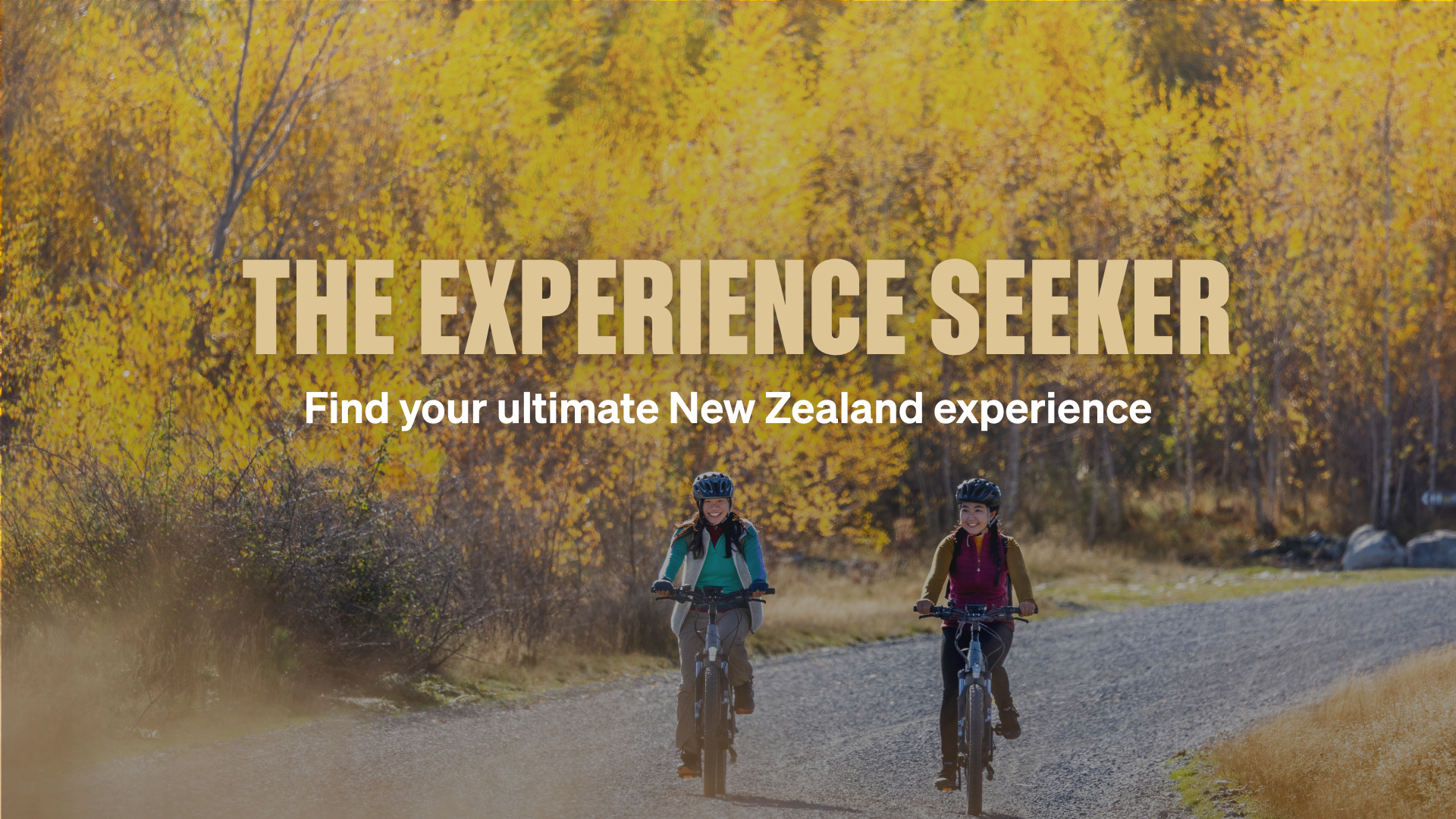 Find Your Ultimate NZ Experience