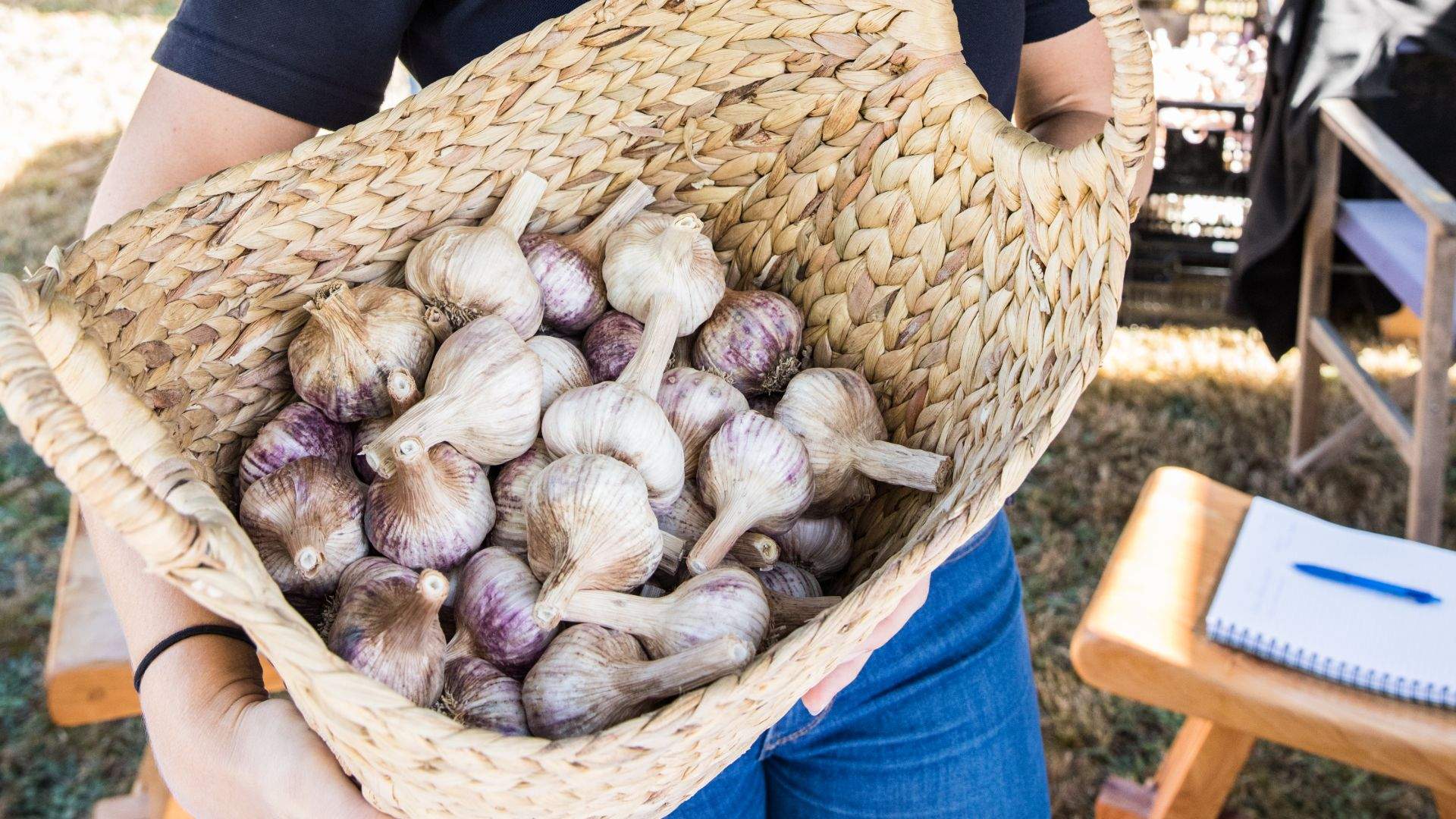 South Gippsland Garlic Festival