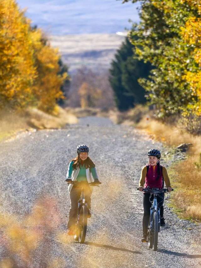 Adventure Awaits: Get Your Adrenaline Pumping on a Holiday in New Zealand