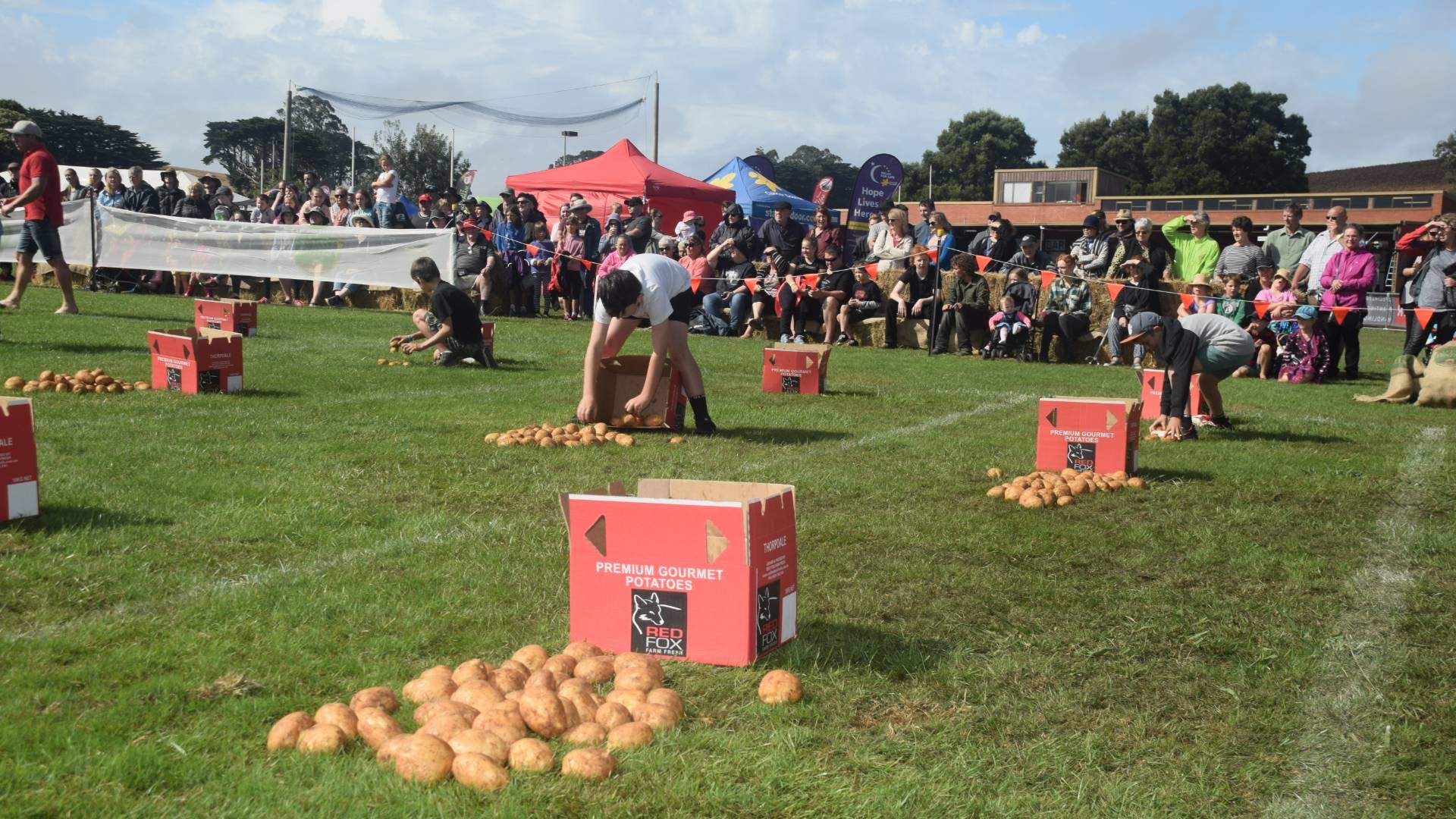 Thorpdale Potato Festival