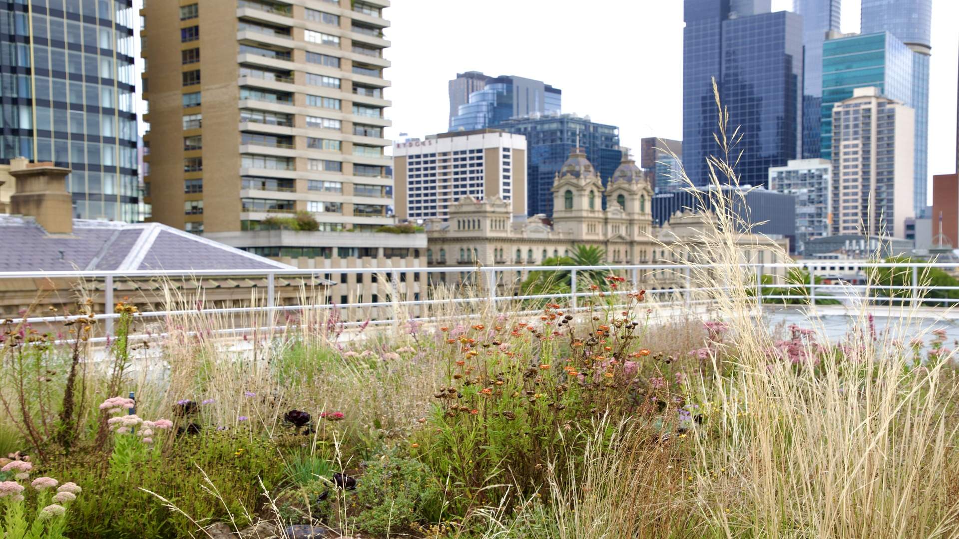 A New Secret Garden Has Opened on a Melbourne CBD Rooftop to Encourage More Green Spaces Around the City