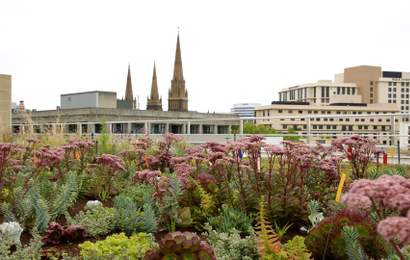 Background image for A New Secret Garden Has Opened on a Melbourne CBD Rooftop to Encourage More Green Spaces Around the City