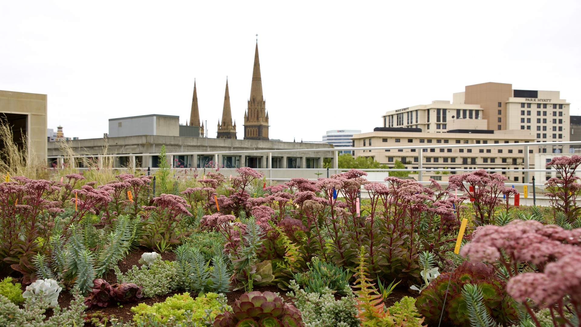 A New Secret Garden Has Opened on a Melbourne CBD Rooftop to Encourage More Green Spaces Around the City