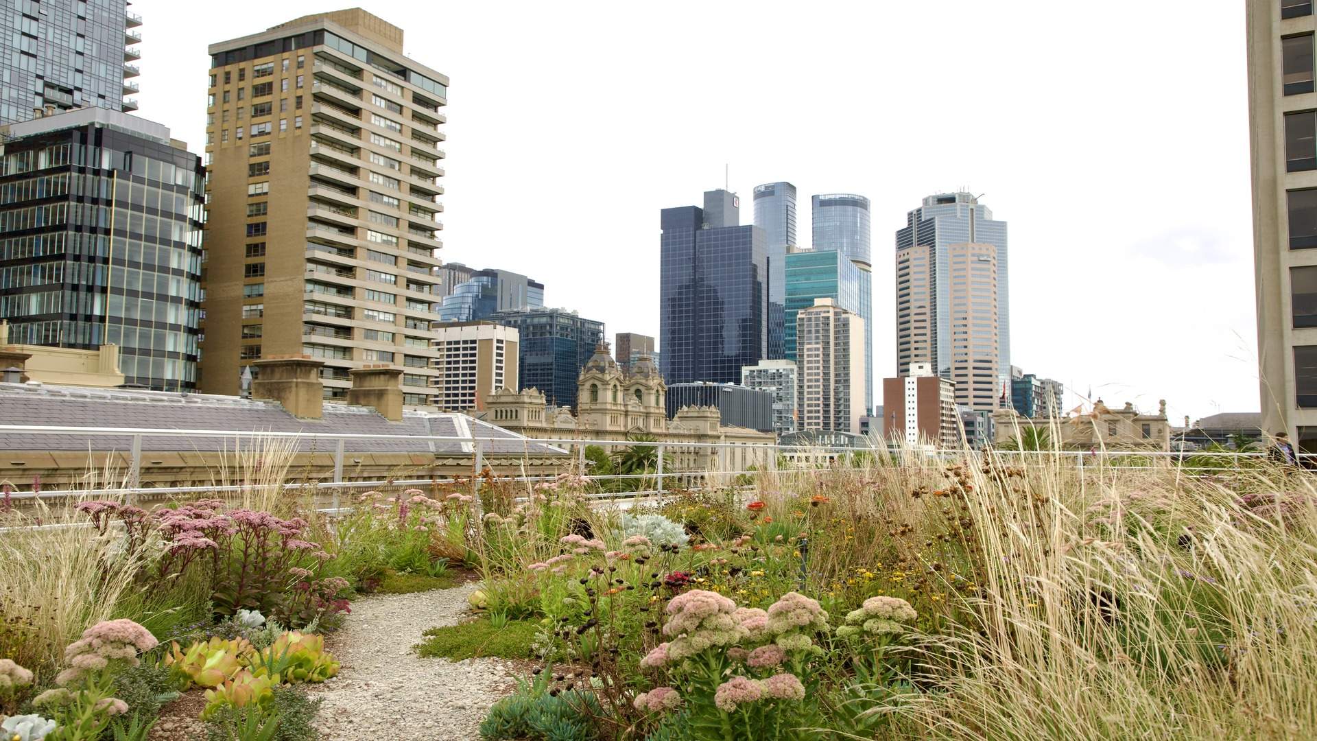 A New Secret Garden Has Opened on a Melbourne CBD Rooftop to Encourage More Green Spaces Around the City