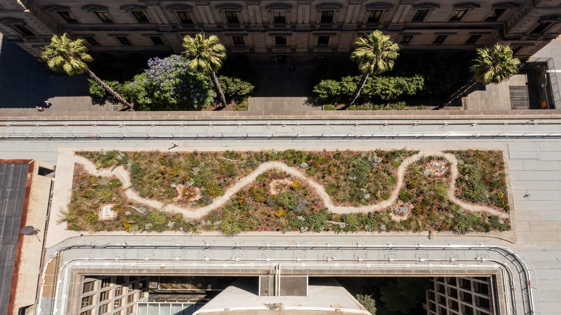 A New Secret Garden Has Opened on a Melbourne CBD Rooftop to Encourage More Green Spaces Around the City