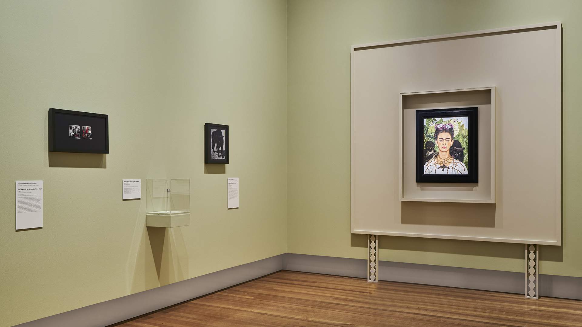 Frida Kahlo: In Her Own Image