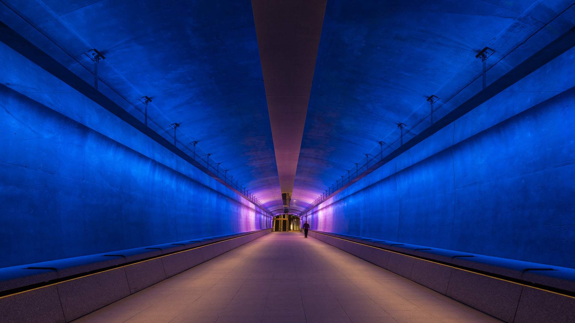 Nigella Lawson Is Curating Dinners in the Muru Giligu Pedestrian Tunnel — and That's Just the Start of Vivid Sydney's Huge 2025 Program