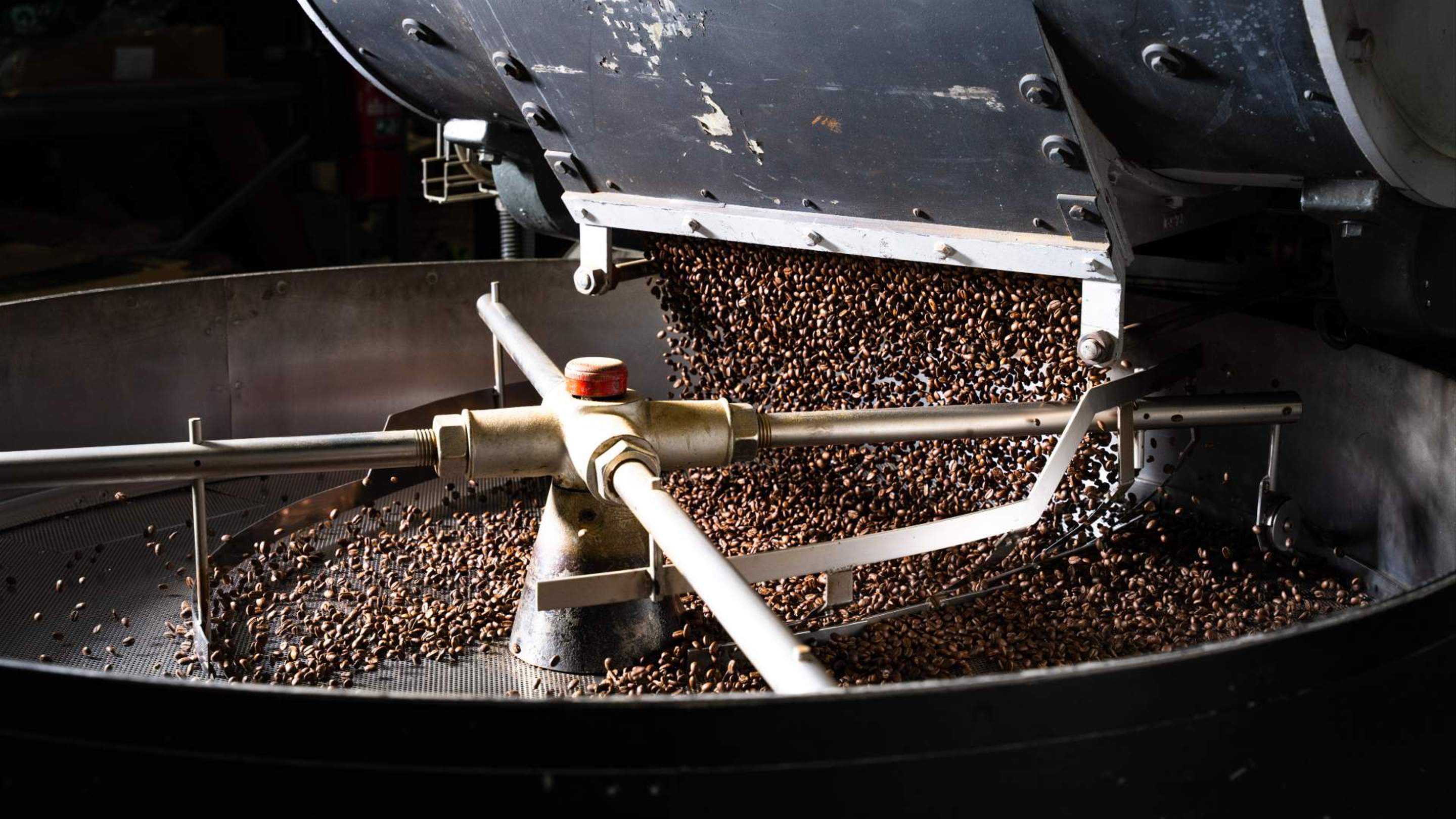 Axil Coffee Roasters' 15th Birthday Giveaway - Concrete Playground