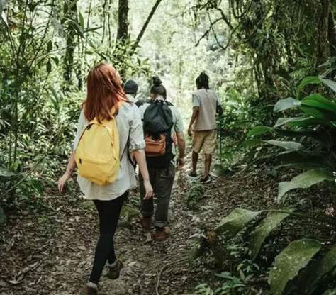 Jakarta to Sawer Waterfall Trek