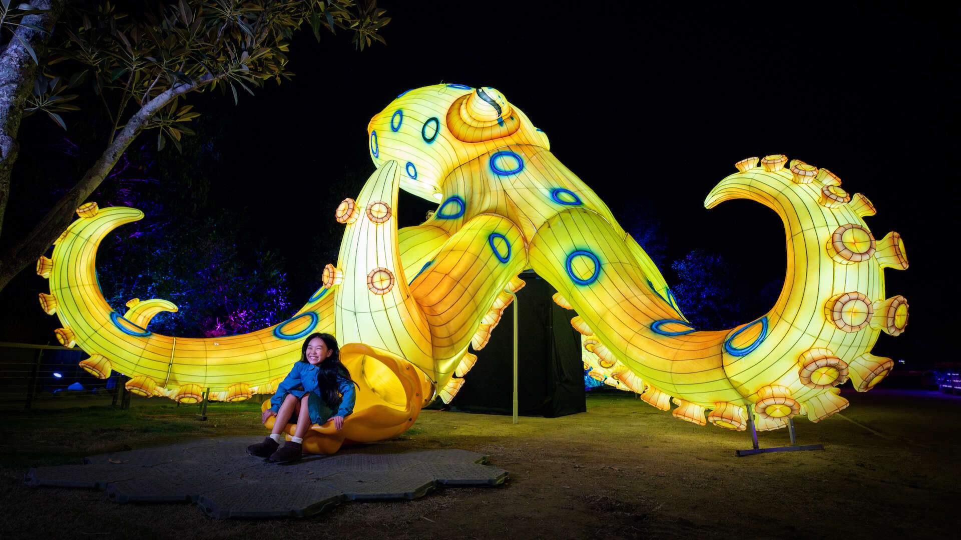 GLOW at Sydney Zoo
