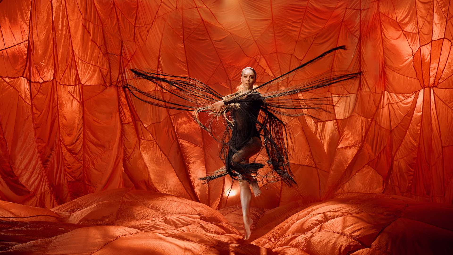 Go on Country with Bangarra Dance Theatre, Without Leaving Your Home City