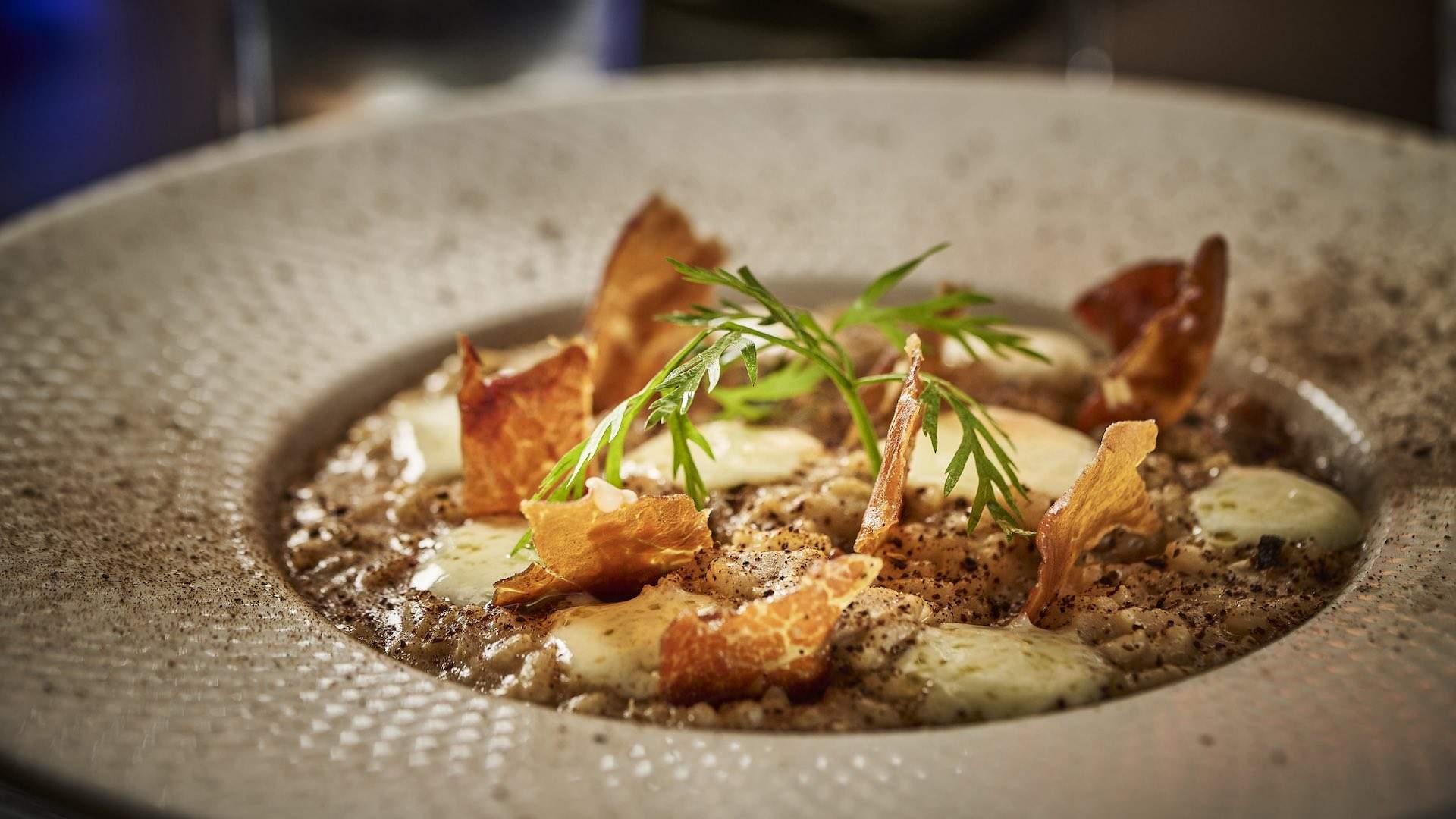 Divino Osteria