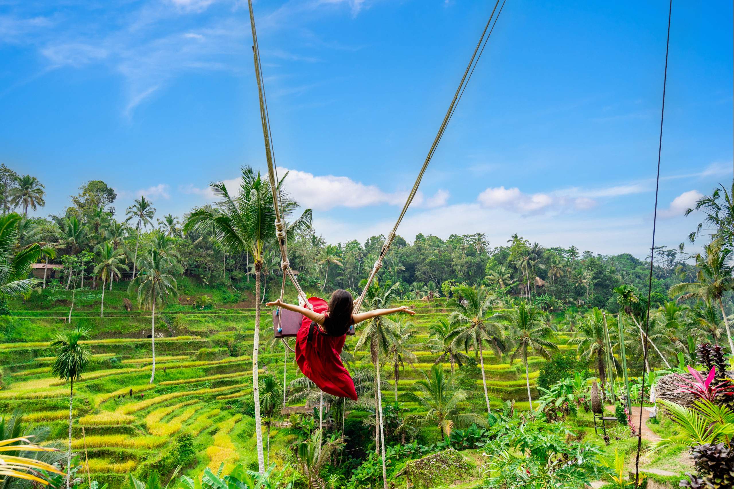Ubud Monkey Forest Tour with Rice Terrace, Temple and Waterfalls