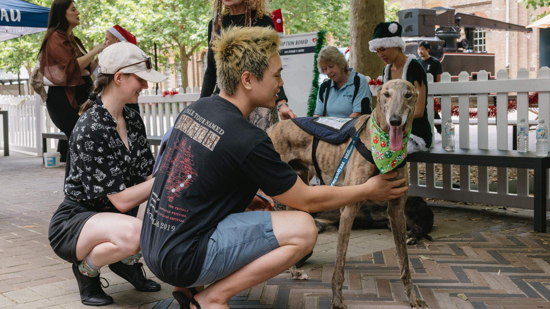The Best Things to Do in Sydney This Weekend