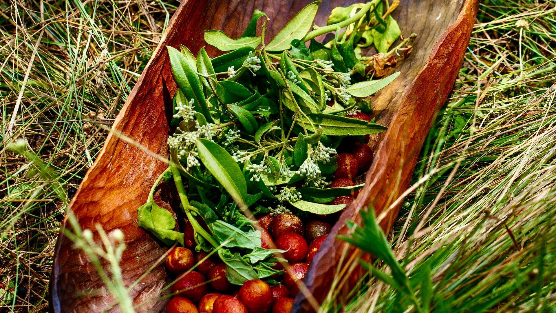 A Lineup of Esteemed Chefs has been announced for the Australian Native Food Festival Heading to Carriageworks this Month, Including Ben Shewry and Kylie Kwong
