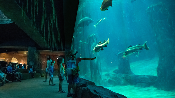 Singapore Oceanarium