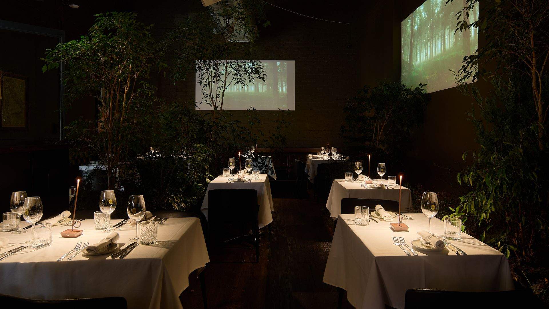 Bianchetto's Truffle Forest