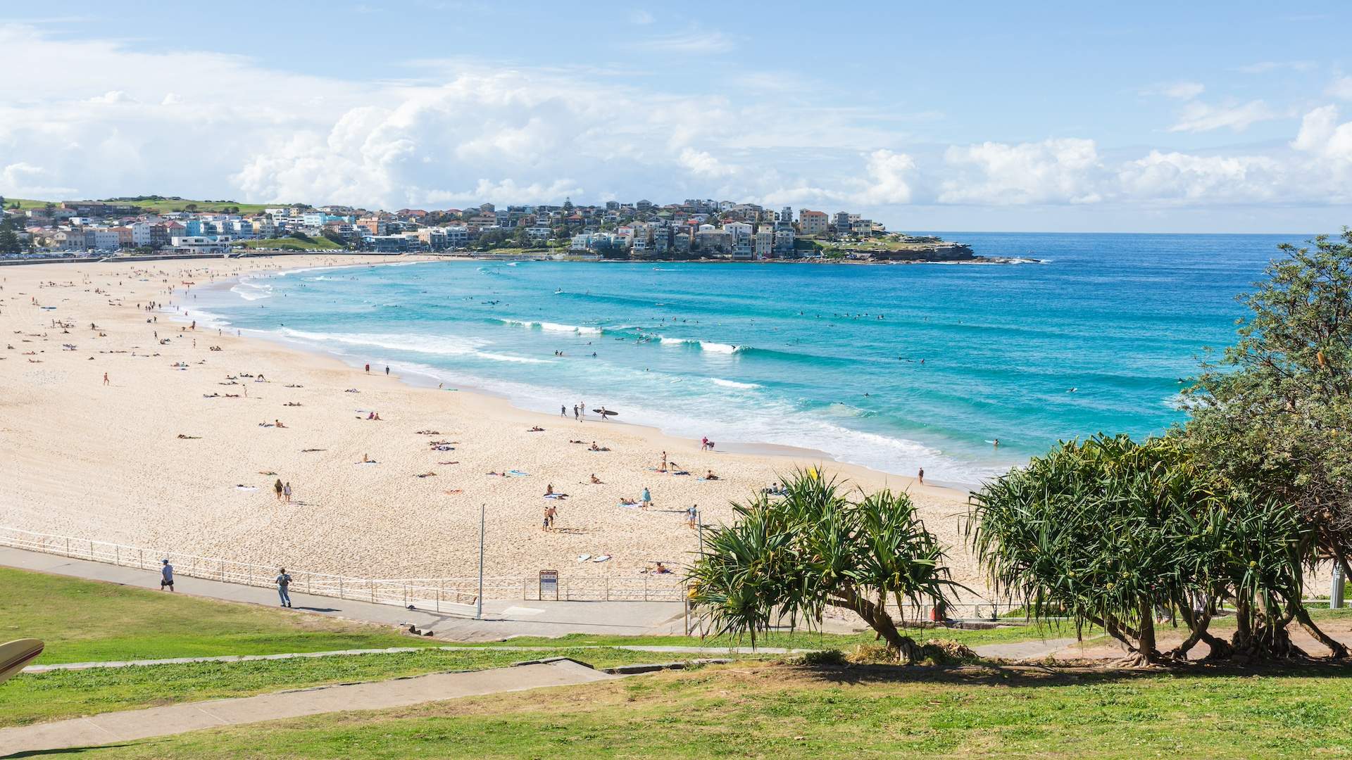 Bondi Beach