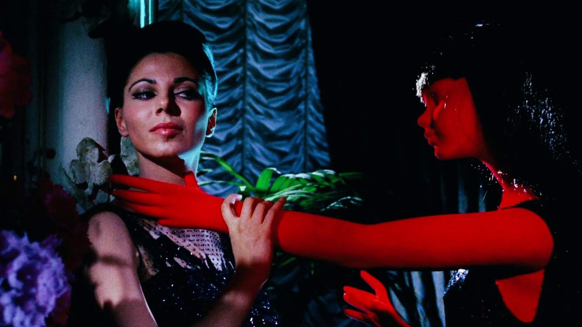 Bellissimo: The Italian Film Festival's 2025 Lineup Spans Must-See New Highlights and a Celebration of 25 Years of 'Looking for Alibrandi'