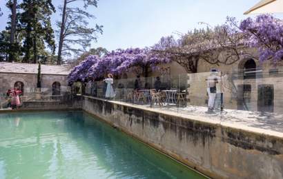 Background image for Wisteria Spring Blooms at Montsalvat