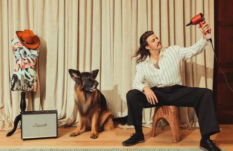 QT Hotels Is Launching Luxury Hotel Stays for Your Pets, Including Butler Service