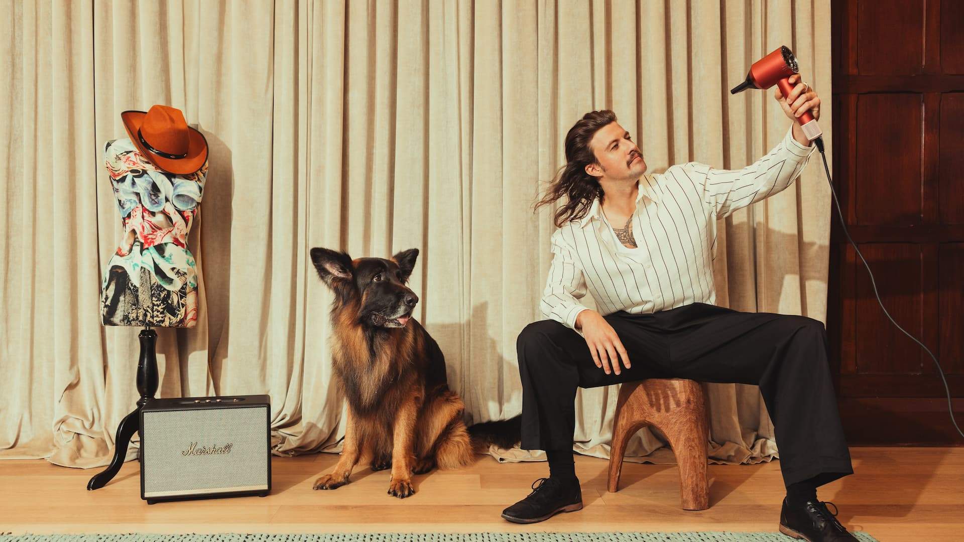 QT Hotels Is Launching Luxury Hotel Stays for Your Pets, Including Butler Service