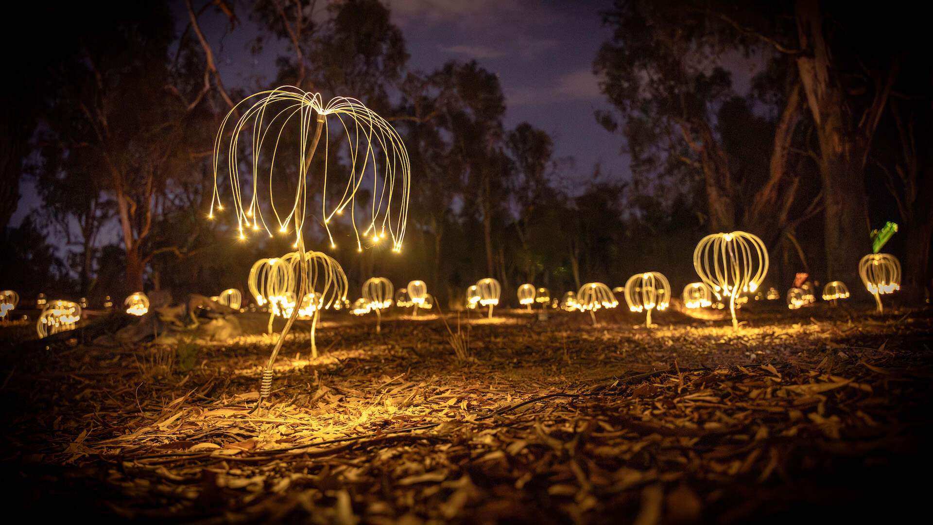 The Best Places to See Art in Regional Victoria