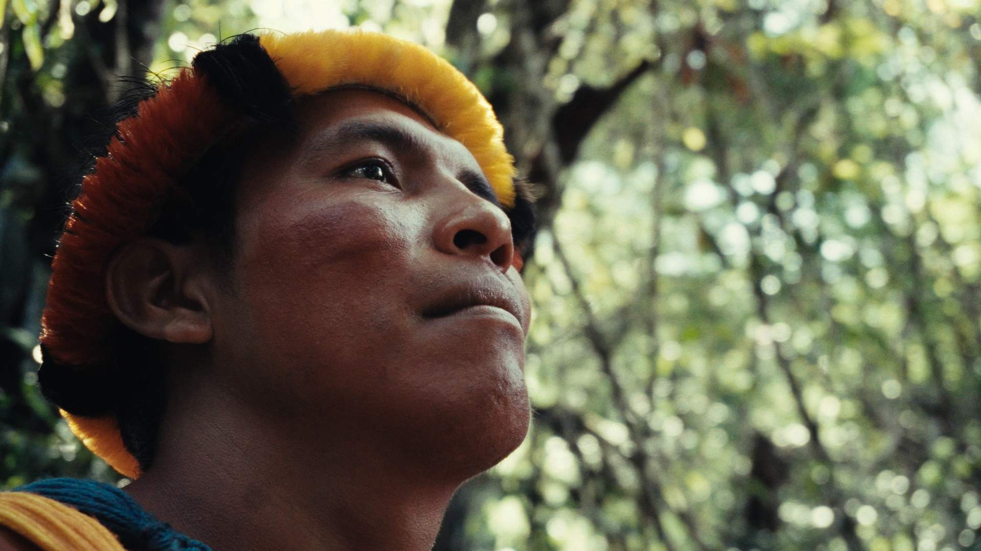 Environmental Film Festival 2025