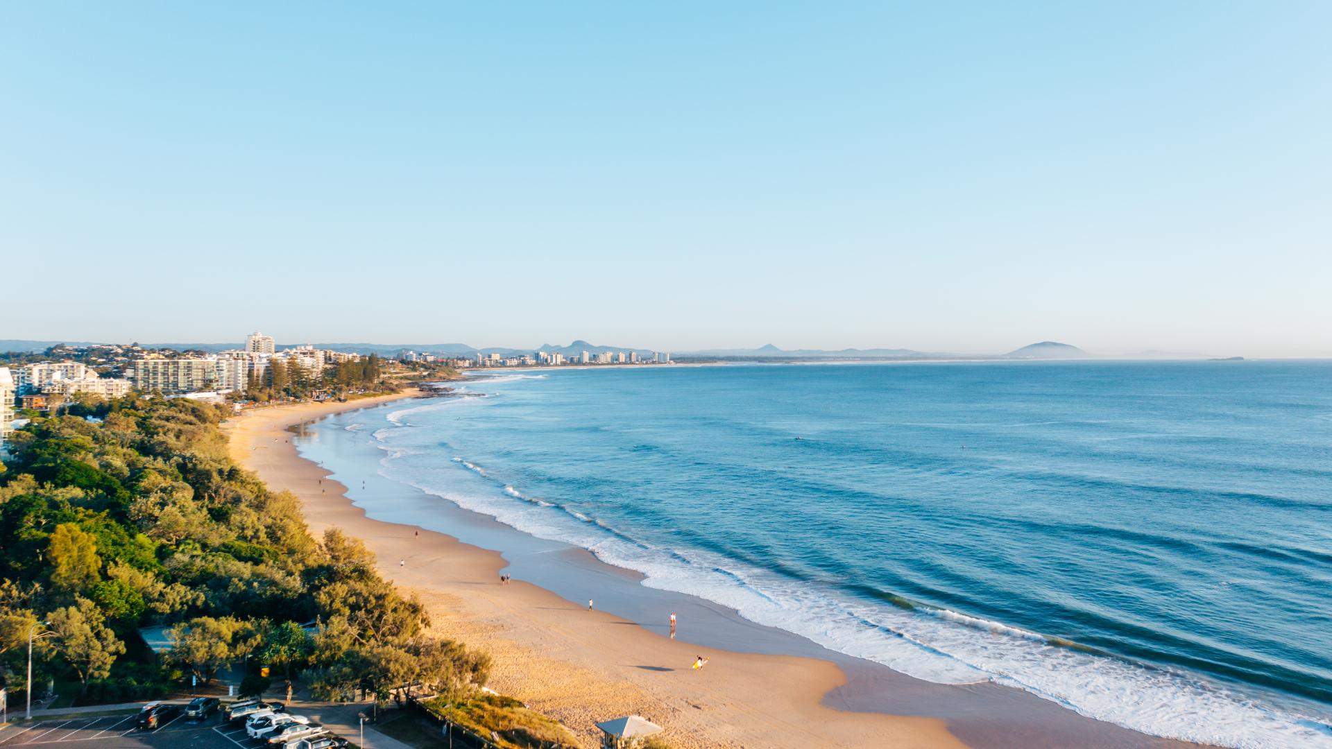 Sunshine Sickie Giveaway