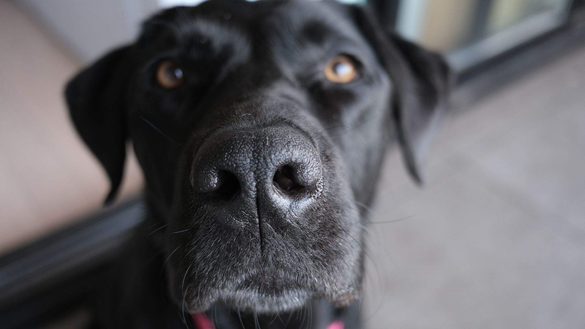 CP Picks: We Tried the New Fujifilm X-T30 III to See If It Could Replace Our Digi Cams and Film Cameras