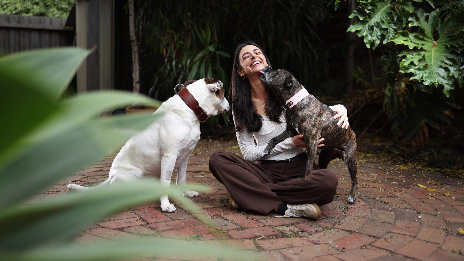 Discover the Paw-Fect Match, as Mars and Lort Smith Adoption Centre Cover 50 Percent of Pet Adoption Fees This Weekend Only