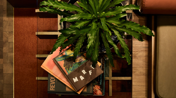 Hotel Indigo Auckland's lobby with a fern and artistic books