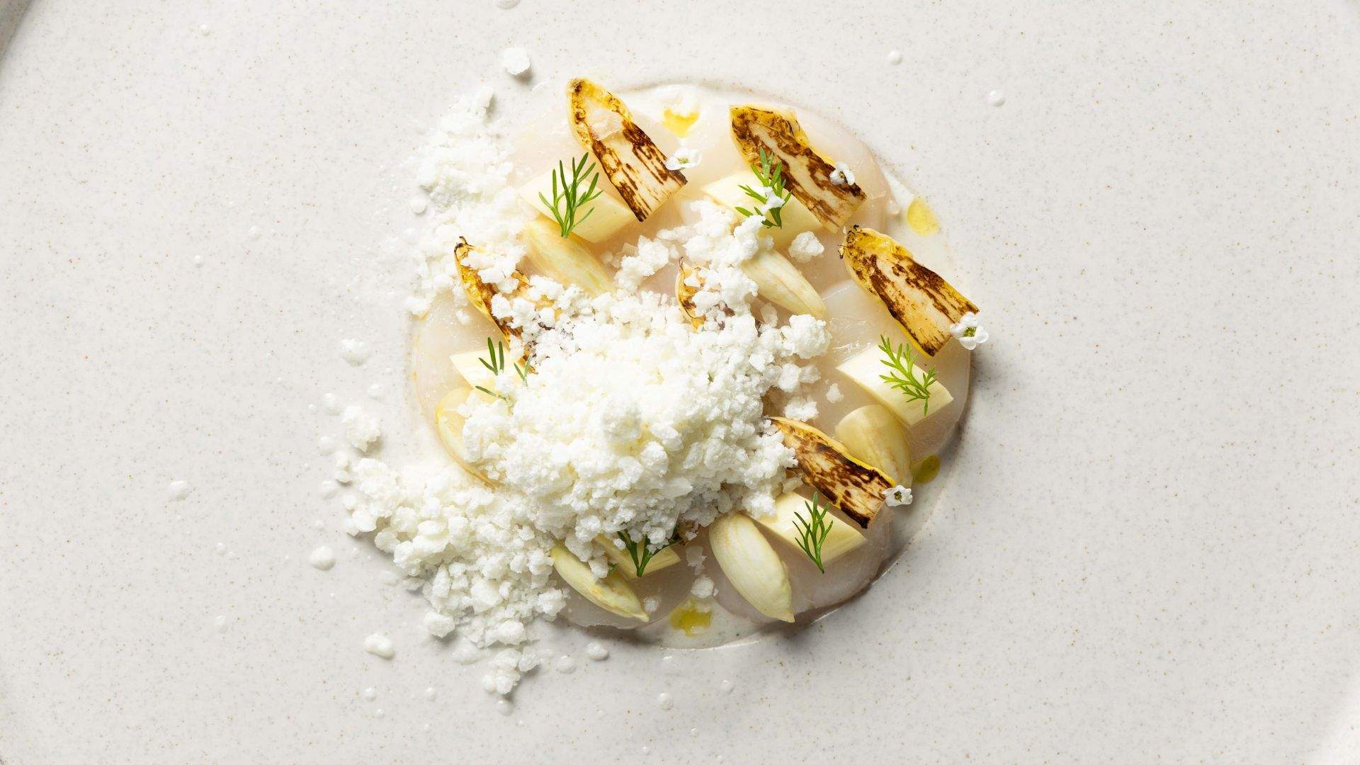 The Lodge Dining Room, Rodd & Gunn Flagship Store