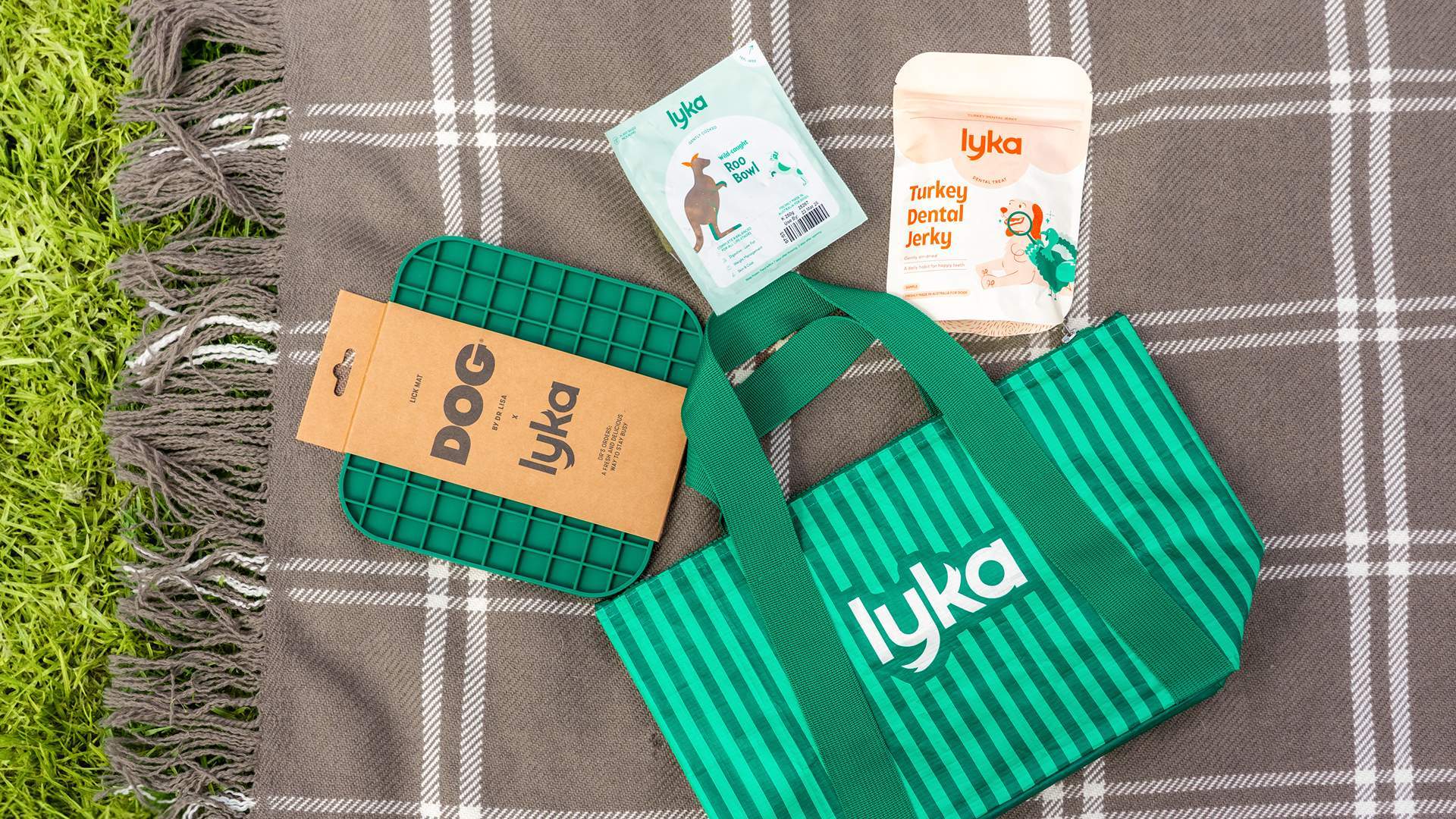 Lyka Doggie Date Night at Moonlight Cinema