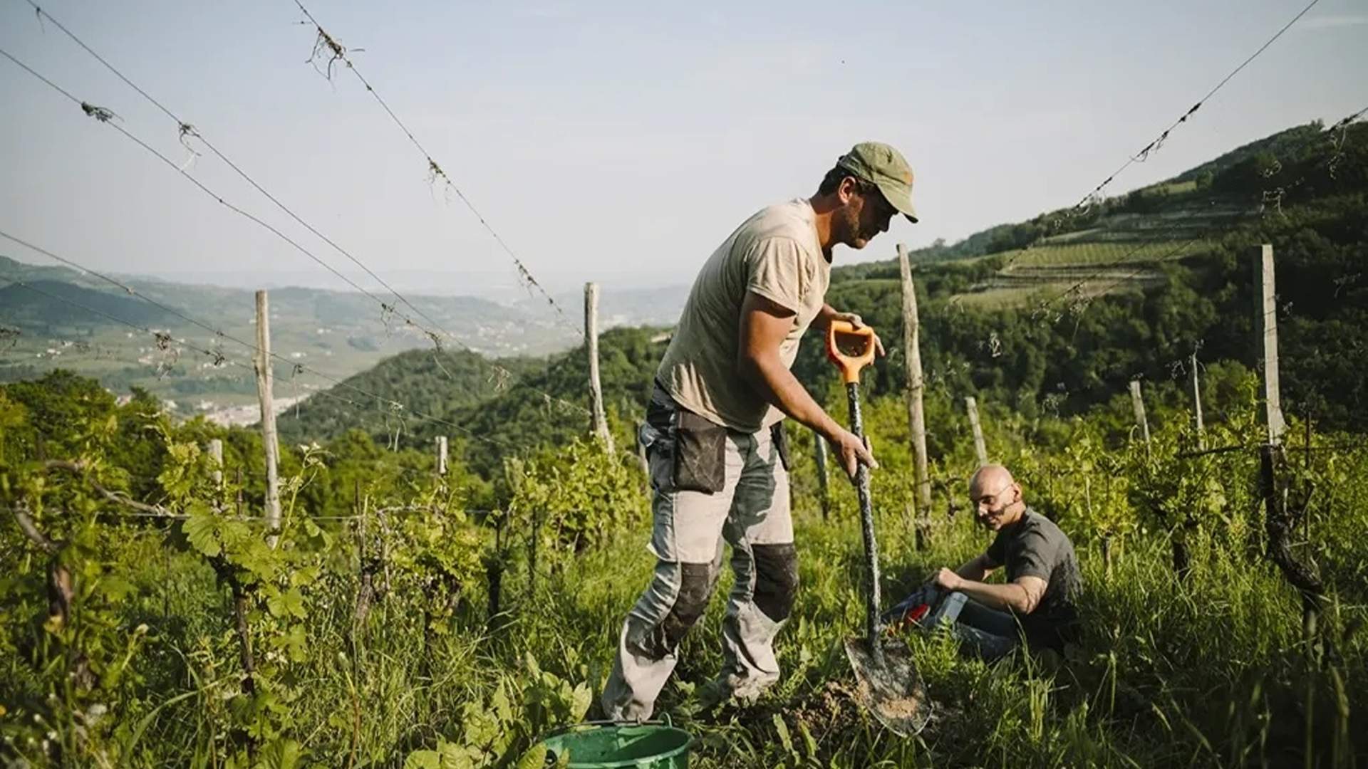 Meet the Winemaker 4.0 at Messinaville