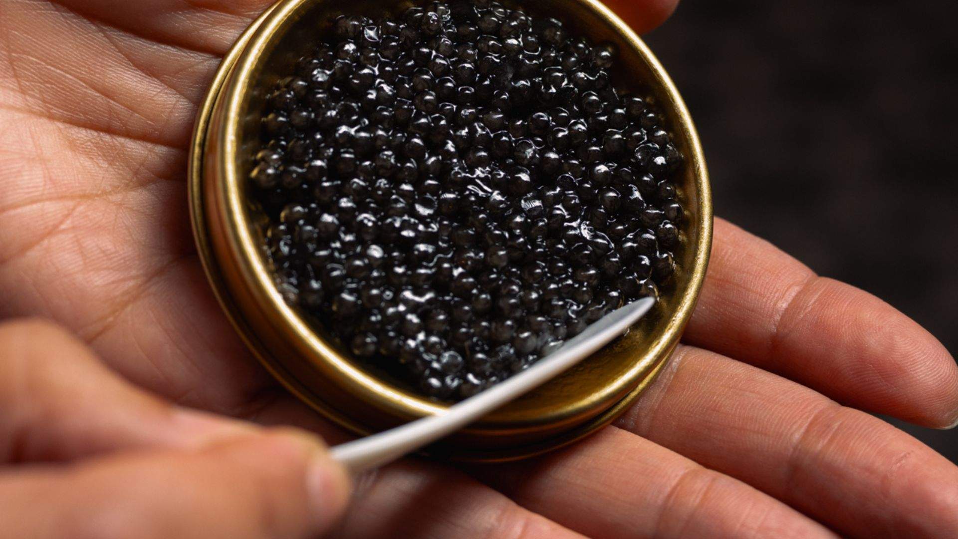 Champagne & Oyster Bar, Crown Melbourne