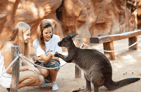 Four Sydney Attractions Every Local and Visitor Should Experience at Least Once