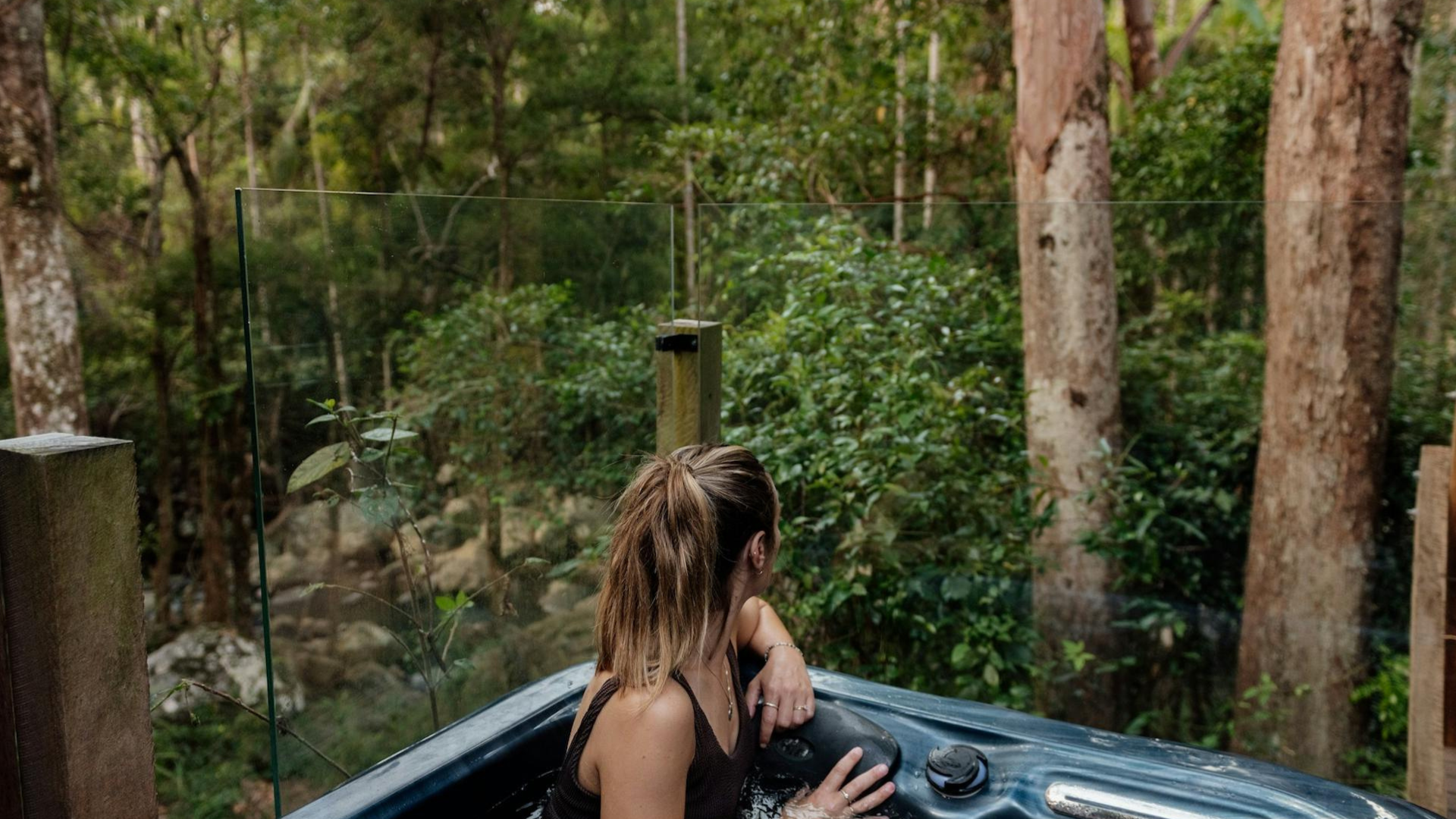Tamborine Mountain Glades