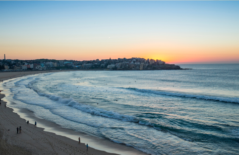What Early Birds Can Do in Bondi Before, During and After Sunrise